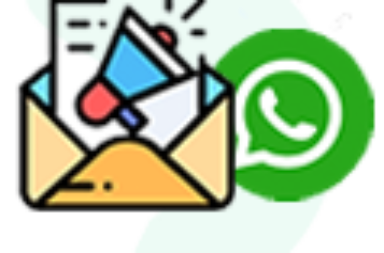 Email / WhatsApp Marketing